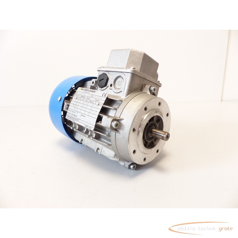 Servomotor Walter Flender Typ: TN3B/4 14 Motor SN:A49058323 photo on Industry-Pilot