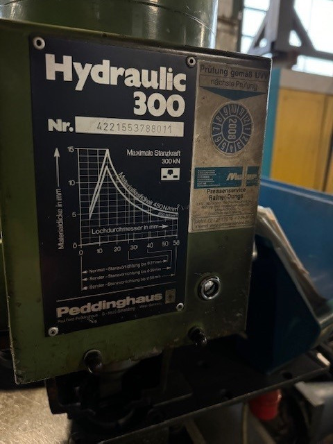 Штамповочный пресс - одностоечный PEDDINGHAUS Hydraulic 300 фото на Industry-Pilot