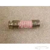   Gould TR10R Tri - onic 10Amp 250 VAC Sicherung Bilder auf Industry-Pilot