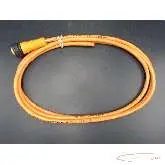 Kabel IFM ifm efector E42256 Anschlußkabel ungebraucht  
