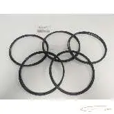   Busak+Shamban TG4301800-T10 Turcan Roto Glyd Ring VPE 5 Stück - ungebraucht - الصورة على Industry-Pilot