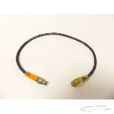   Lumberg RSMV3-RKMWV/ LEDA3-224/ 0.3 