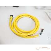  Allen Bradley Allen Bradley CAT 871A-CS4-N2 Mating Cable 2.00m ungebraucht! Bilder auf Industry-Pilot