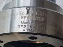  وحدة Hainbuch Spanntop Modular Gr. 32 SP.0115.0099.00 Spannkopf TOP الصورة على Industry-Pilot