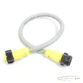  Kabel Lapp Kabel 855 P/2 Ölfelx-FD° L: 32cm 5615 Bilder auf Industry-Pilot