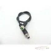  Murrelektronik Murrelektronik 7000-08061-6110500 Anschlusskabel 77116 L: 280 mm Bilder auf Industry-Pilot