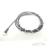  Kabel Murr Elektronik 7000-12221-6140500 Kabel - Länge 1.50m Verbindungsleitung Bilder auf Industry-Pilot