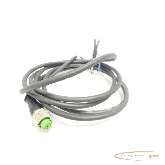 Cable Murr Elektronik 7000-12221-6340500 Kabel - Länge: 150m Verbindungsleitung photo on Industry-Pilot