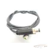  Cable Murr Elektronik 7000-08061-6110500 Kabel - Länge 125m Verbindungsleitung photo on Industry-Pilot
