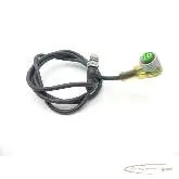  Murrelektronik Murrelektronik Sensorleitung Kabellänge 1000 mm Bilder auf Industry-Pilot