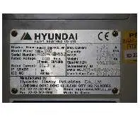 Роботы для палетирования Zuführ- und Palettierroboter Hyundai HS200 фото на Industry-Pilot