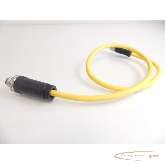  Kabel Pilz 540319 E470625 8x 025qmm AWM 20233 80°C Kabel - Länge: 45cm Bilder auf Industry-Pilot