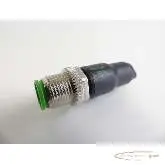  Murrelektronik Murr Elektronik 7000-13461 67110 Busabschlussstecker M12 Bilder auf Industry-Pilot