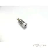   Gerwah DK/S 4 Kupplung 