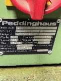 Forging press - Single column PEDDINGHAUS Peddiworker 1000 photo on Industry-Pilot