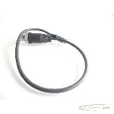  Kabel AWM Verbindungsleitung 20549/1731 mit Murr Anschlussstecker Kabel -Länge: 30cm Bilder auf Industry-Pilot