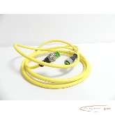  Kabel AWM Verbindungsleitung 20549/1731 mit Murr Winkelstecker Kabel - Länge: 200m Bilder auf Industry-Pilot