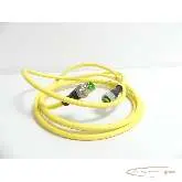  Kabel AWM Verbindungsleitung 20549/1731 mit Murr Winkelstecker Kabel - Länge: 200m Bilder auf Industry-Pilot