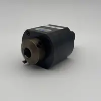  AGW VDI40 40.4008BF1809 الصورة على Industry-Pilot