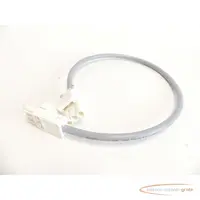  Stecker Adels Contact 2 x 166-1 ZU/3 Stecker weiß mit ÖLFLEX 191 3 G x 2.5 Kabel 550 mm 