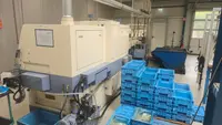 Automatic profile Lathe - Longitudinal STAR Ecas 20 photo on Industry-Pilot