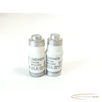  Sicherungseinsatz Lindner 1701.035 NEOZED Sicherungseinsatz 35A ~400/~250V gL/gG VPE 2 Stück 