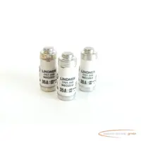  Sicherungseinsatz Lindner 1701.035 NEOZED Sicherungseinsatz 35A ~400/~250V gL/gG VPE 3 Stück 