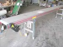 ناقل حزام أفقي Wittmann 5400x400mm الصورة على Industry-Pilot